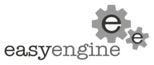 EasyEngine Logo