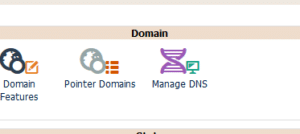 Kloxo-MR Manage DNS
