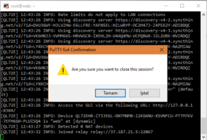 Syncthing Server Start