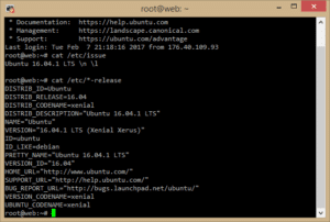 Linux Version