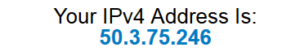 OpenVPN IP