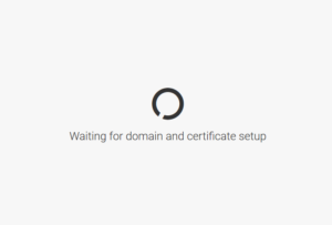 Cloudron Setup Certificate