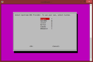 Pi-Hole DNS