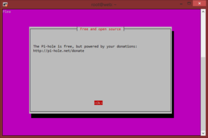 Pi-Hole Installer Info