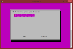 Pi-Hole IPv6
