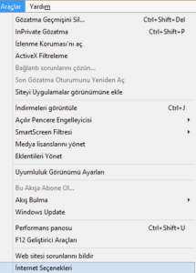 Ziproxy Internet Explorer Seçenekler