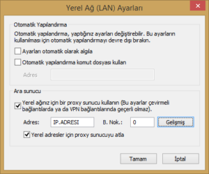 Ziproxy Internet Explorer Ayarları
