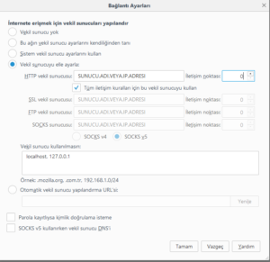 Ziproxy Mozilla Firefox Bağlantı Ayarları